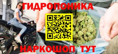 круглые Камышлов