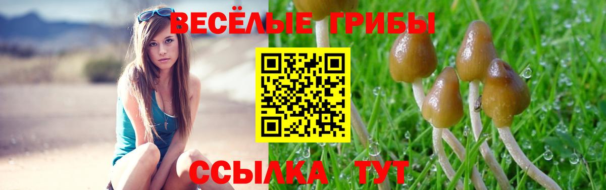 Лабытнанги  Псилоцибиновые грибы ЛСД  Вход с VPN 